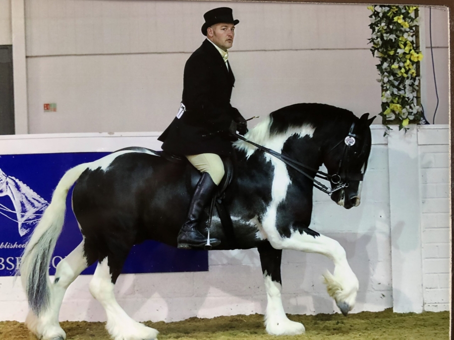 The Navigator - 14hh Native Coloured Stallion (CHAPS Approved)